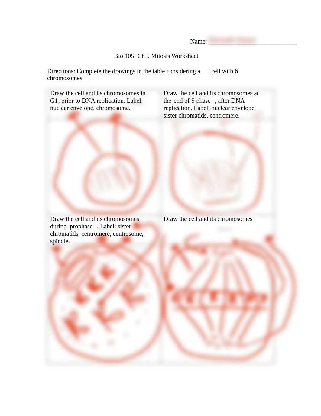 Bio105_Ch5_MitosisWS.pdf_dmafp6b72l9_page1