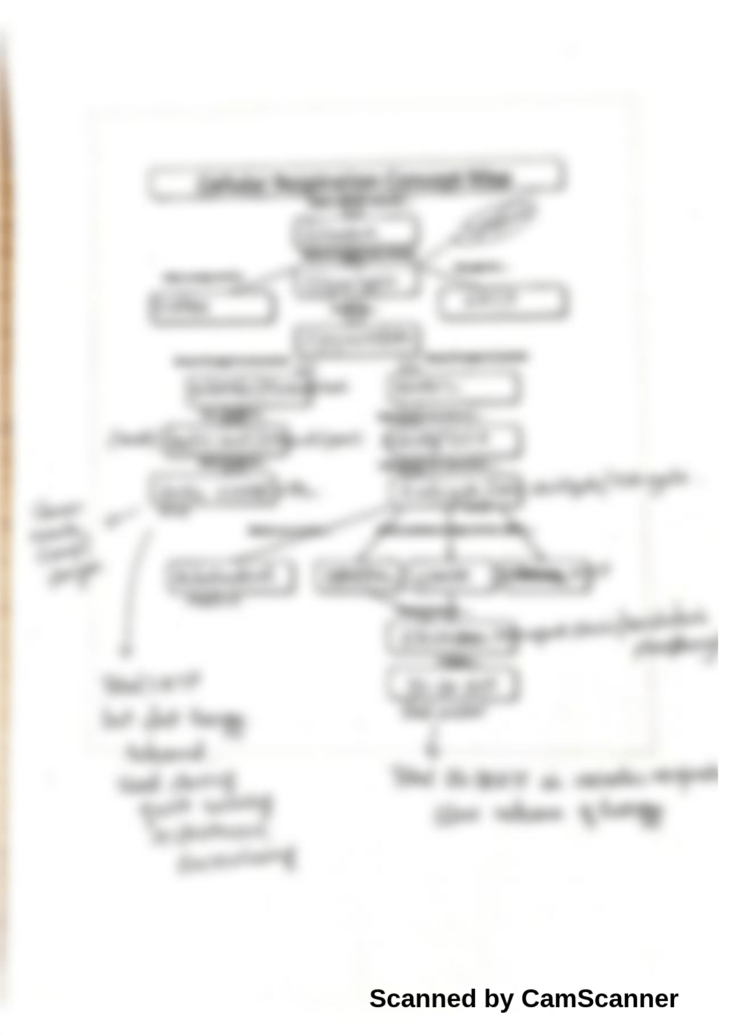 cellular respiration concept map answer key-2.pdf_dmajqm7hls2_page4