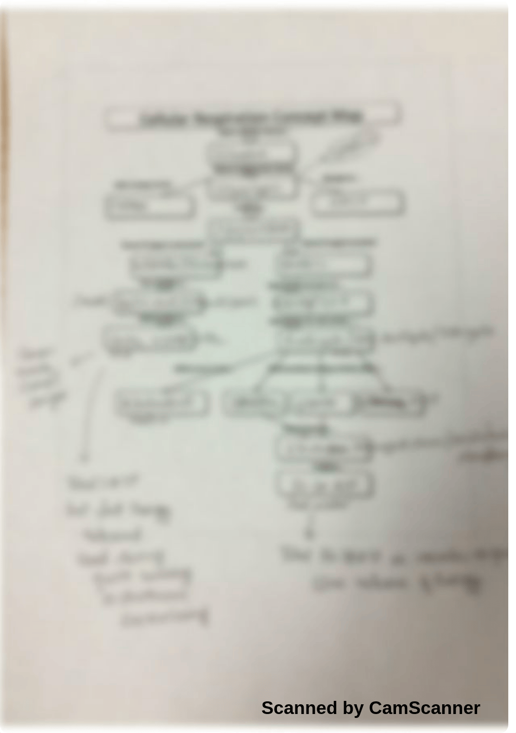 cellular respiration concept map answer key-2.pdf_dmajqm7hls2_page3