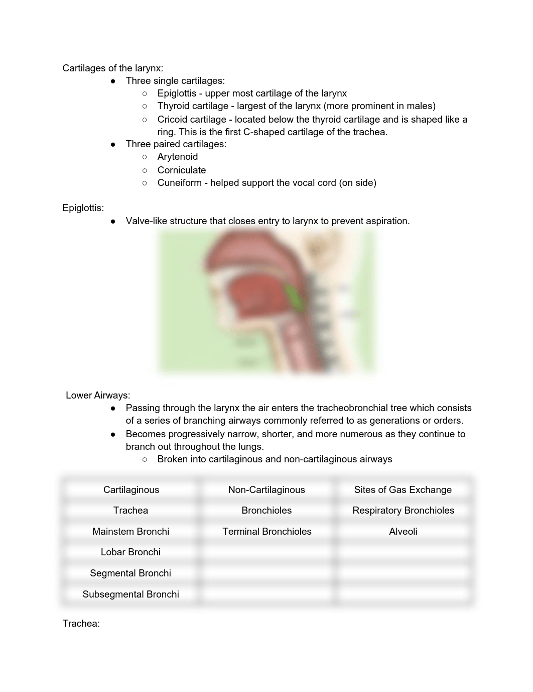 Respiratory care 1 study guide .pdf_dmal7o1wwa4_page4