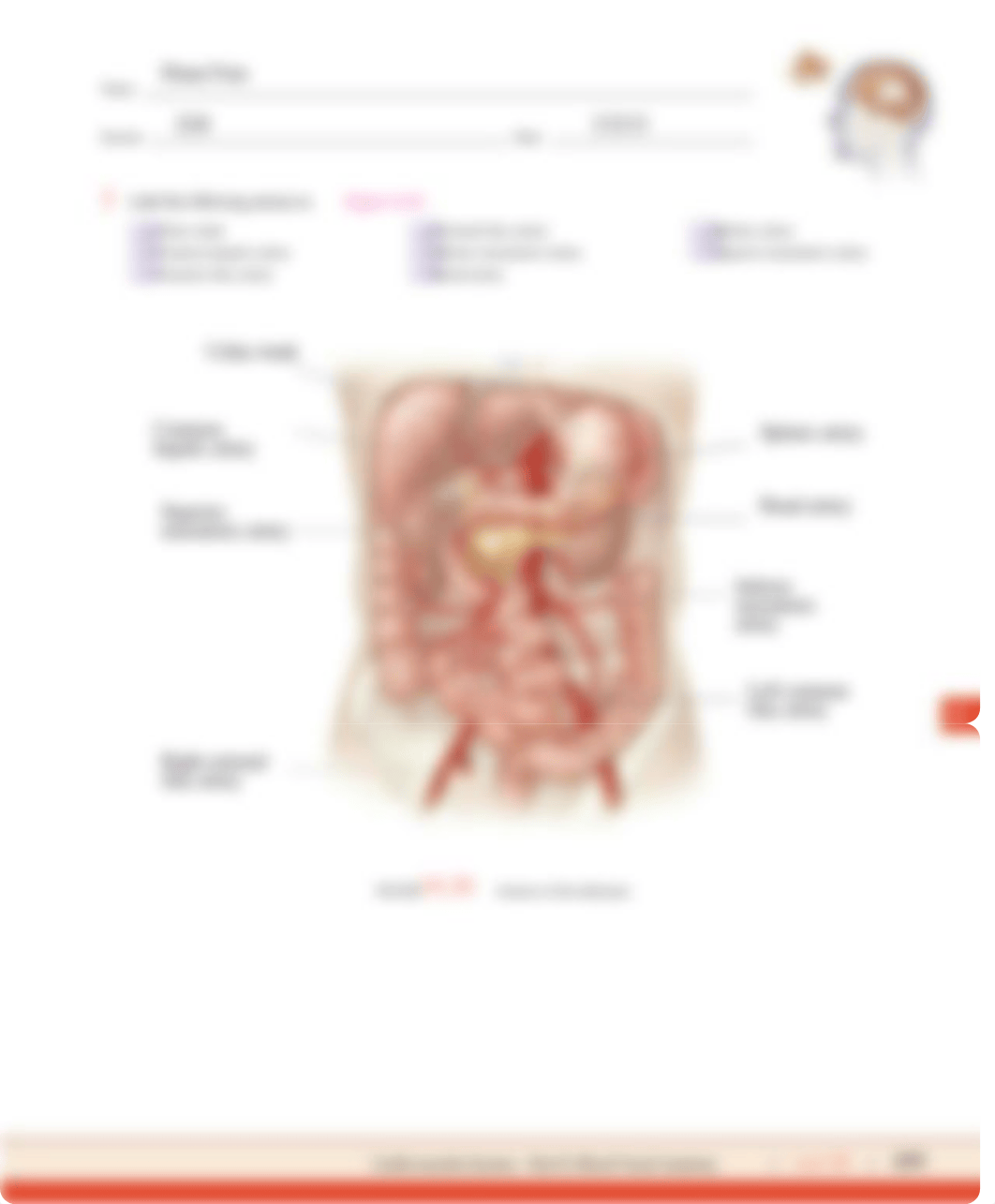 CYR Unit 18 Blood Vessels (1).pdf_dmandysdc9x_page3