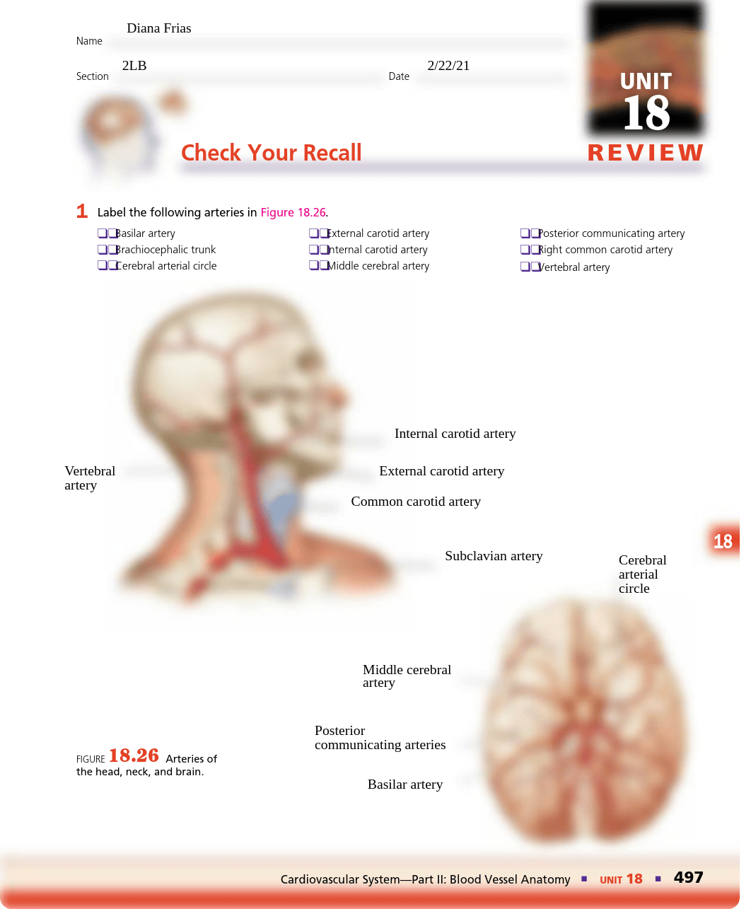 CYR Unit 18 Blood Vessels (1).pdf_dmandysdc9x_page1