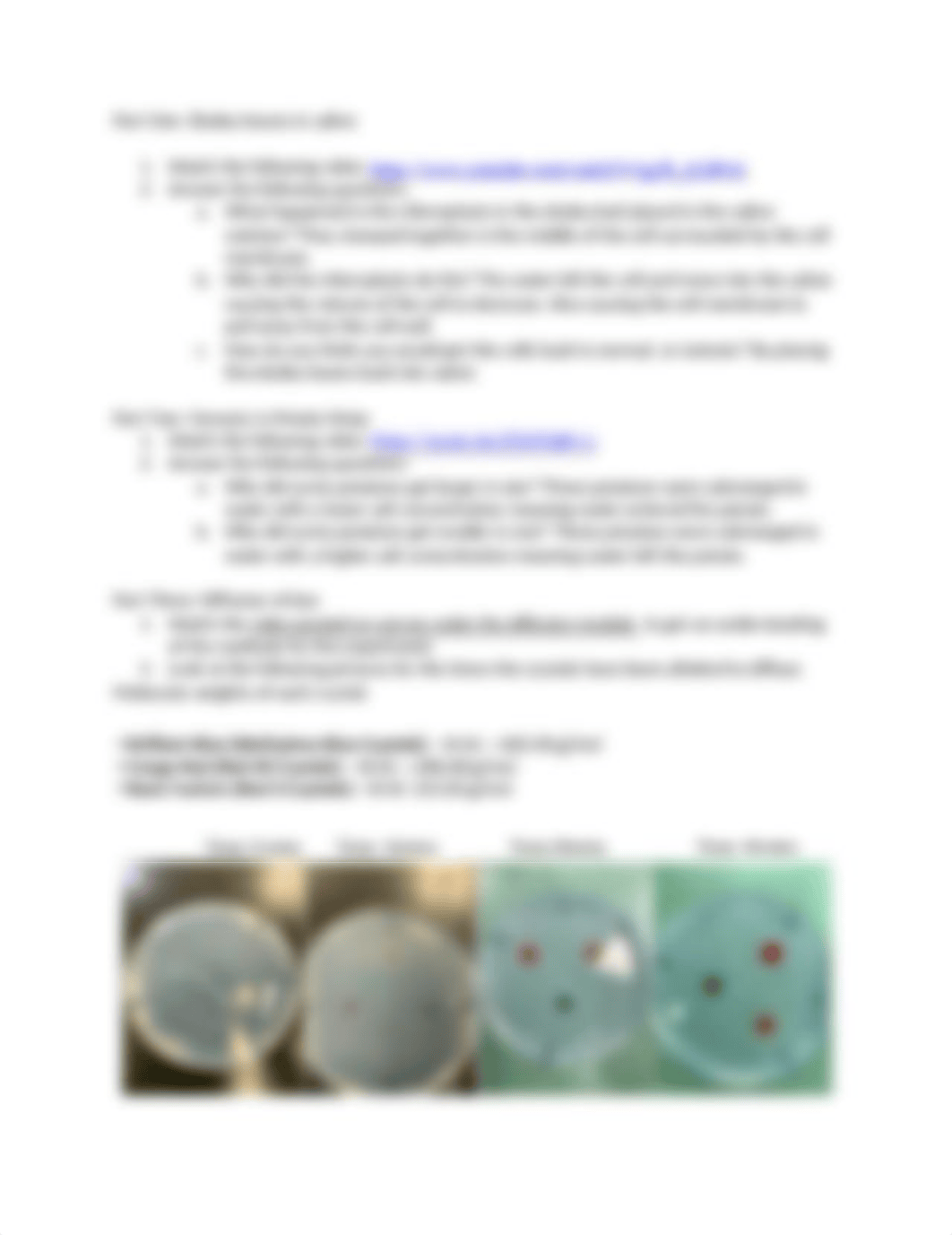 Diffusion Lab (Lab 8 worksheet).docx_dmaotbqidf5_page2