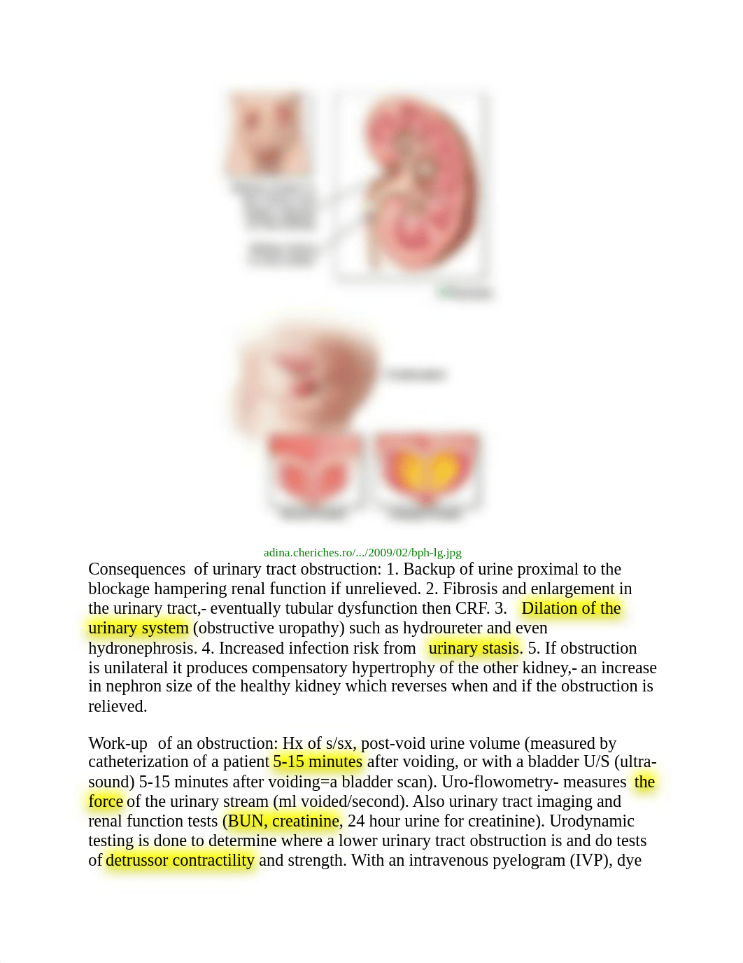 U6RenalPatho_dmap0g8wktm_page2