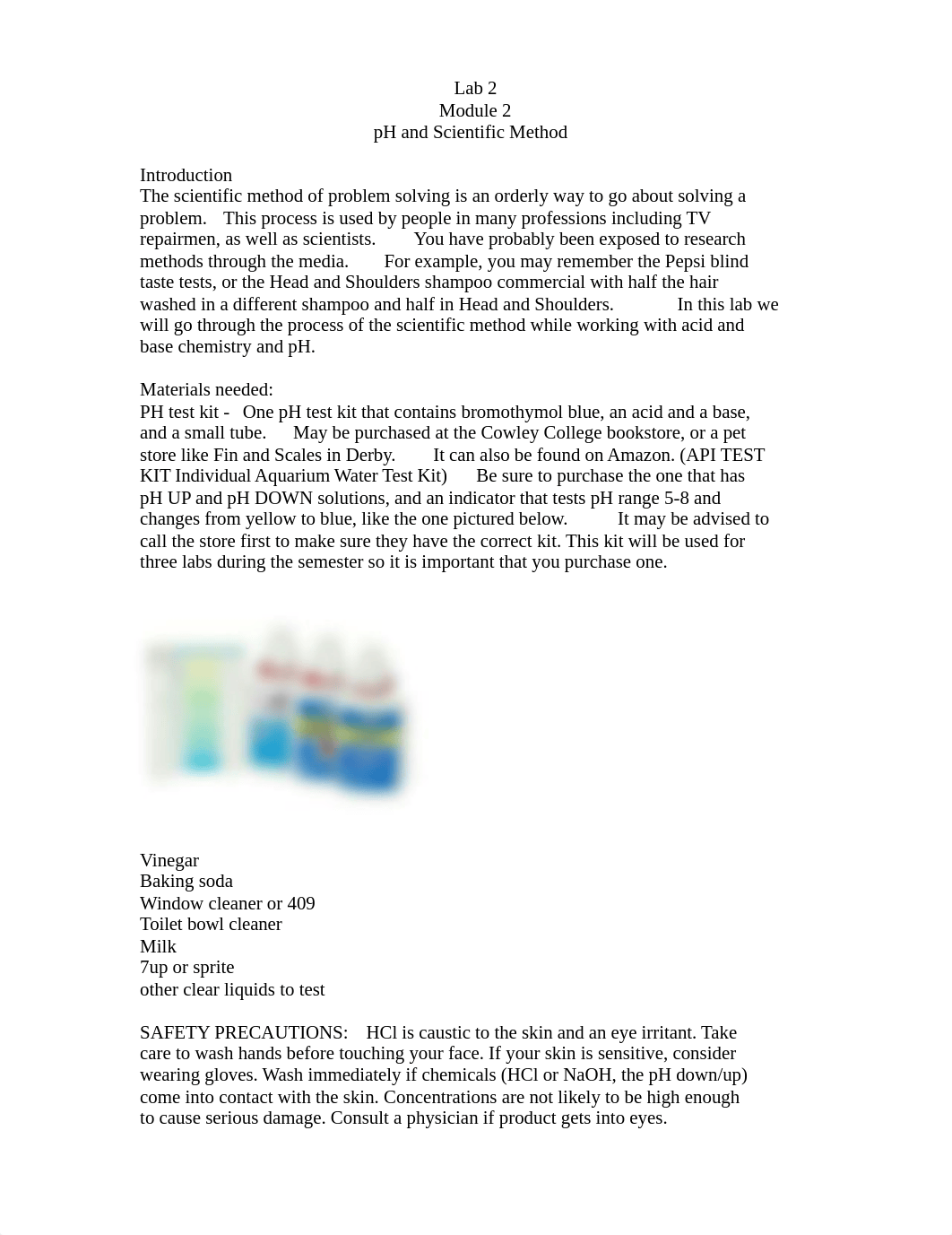 Acids and Bases Lab Final(2) (1).docx_dmapbtfa5l3_page1