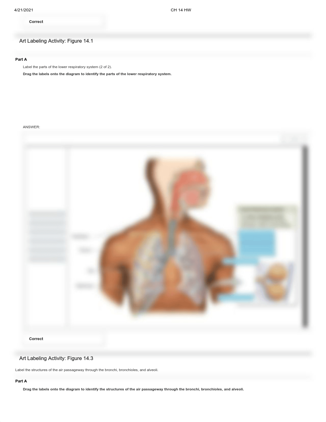 CH 14 HW.pdf_dmat3cg4z1o_page3