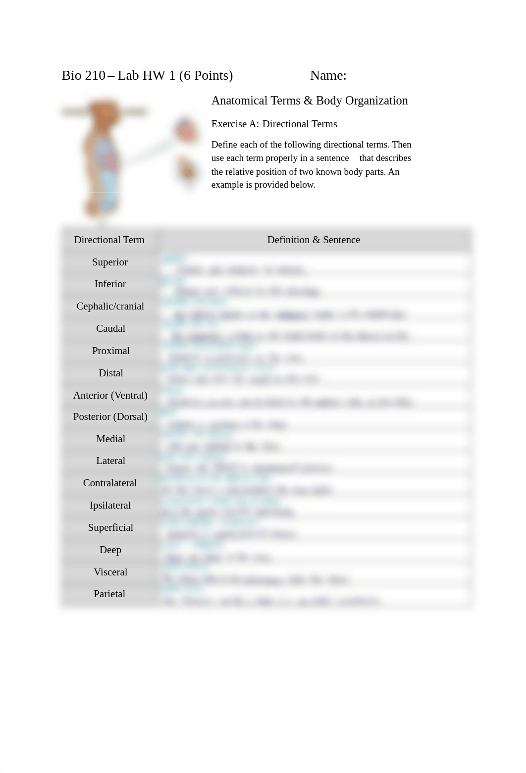 Lab HW 1 Intro and Connective Tissue.pdf_dmatst5w5yp_page1