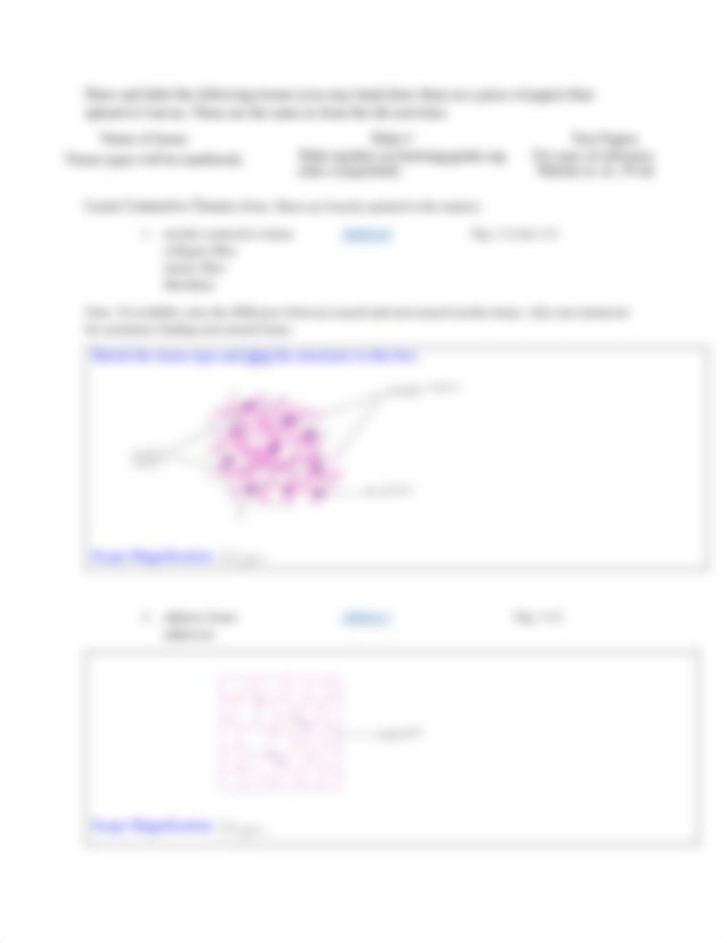 Lab HW 1 Intro and Connective Tissue.pdf_dmatst5w5yp_page2