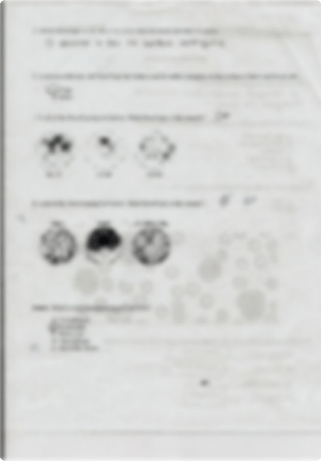 Anatomy Lab Quiz Blood_dmawqynb7lv_page2