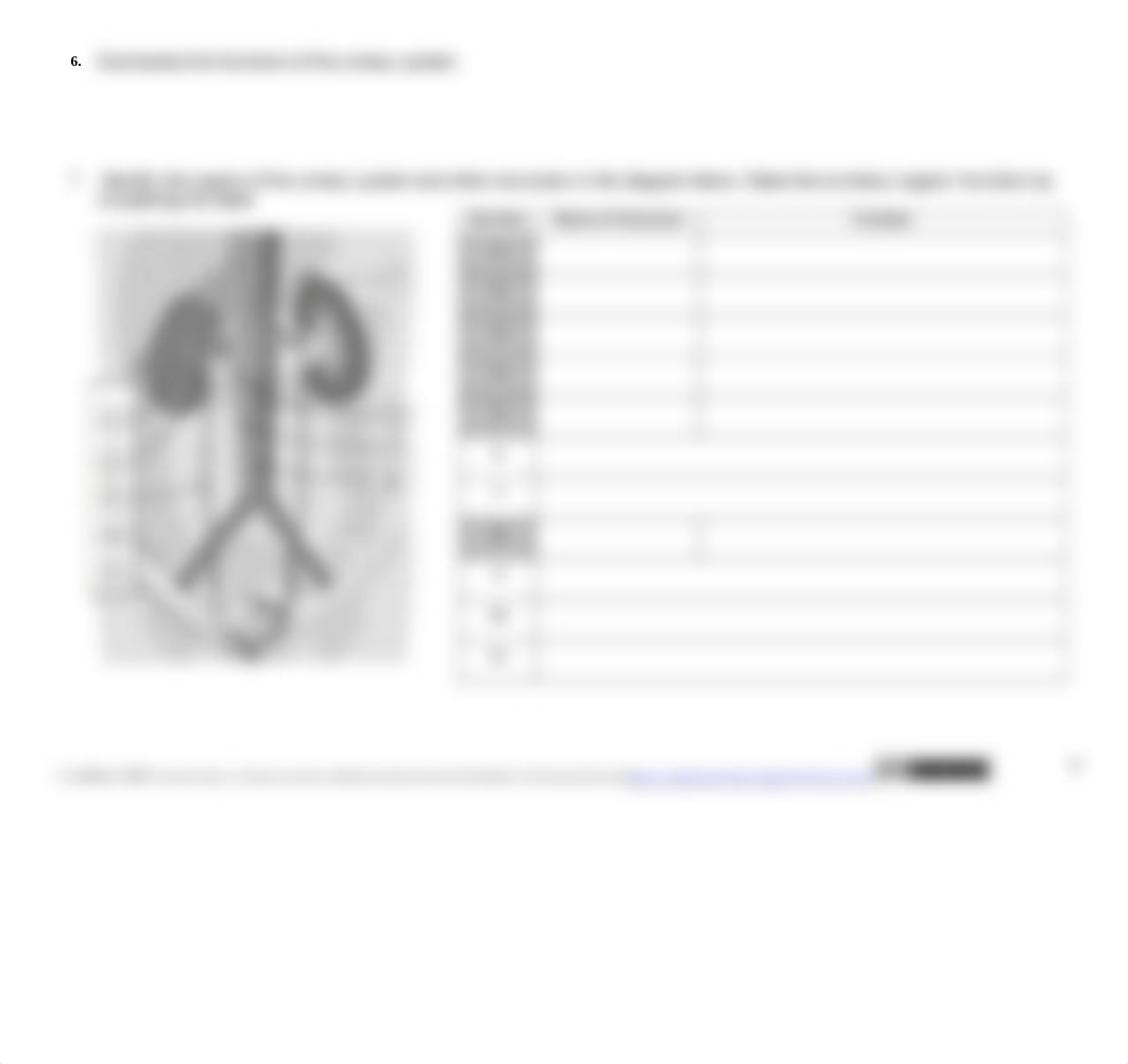 Integumentary and Urinary System Concept Check.docx_dmbfidc29kp_page5