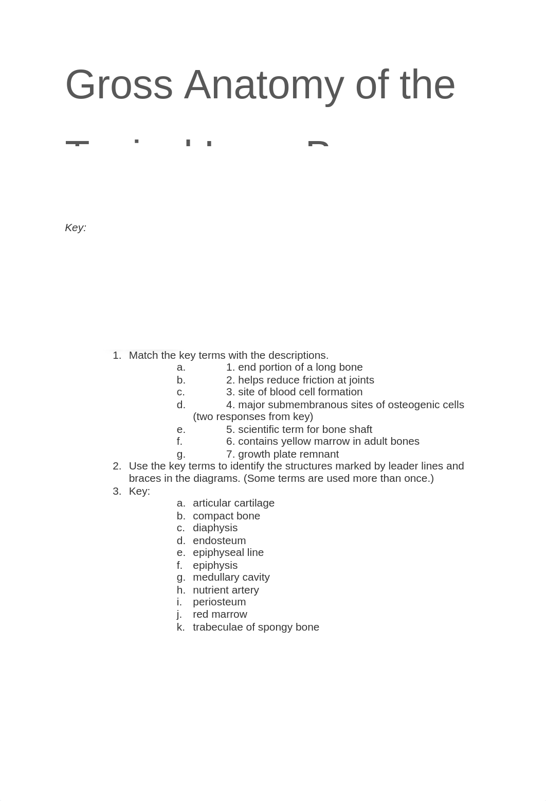 A&P LAB review sheets_dmbij5encw6_page4