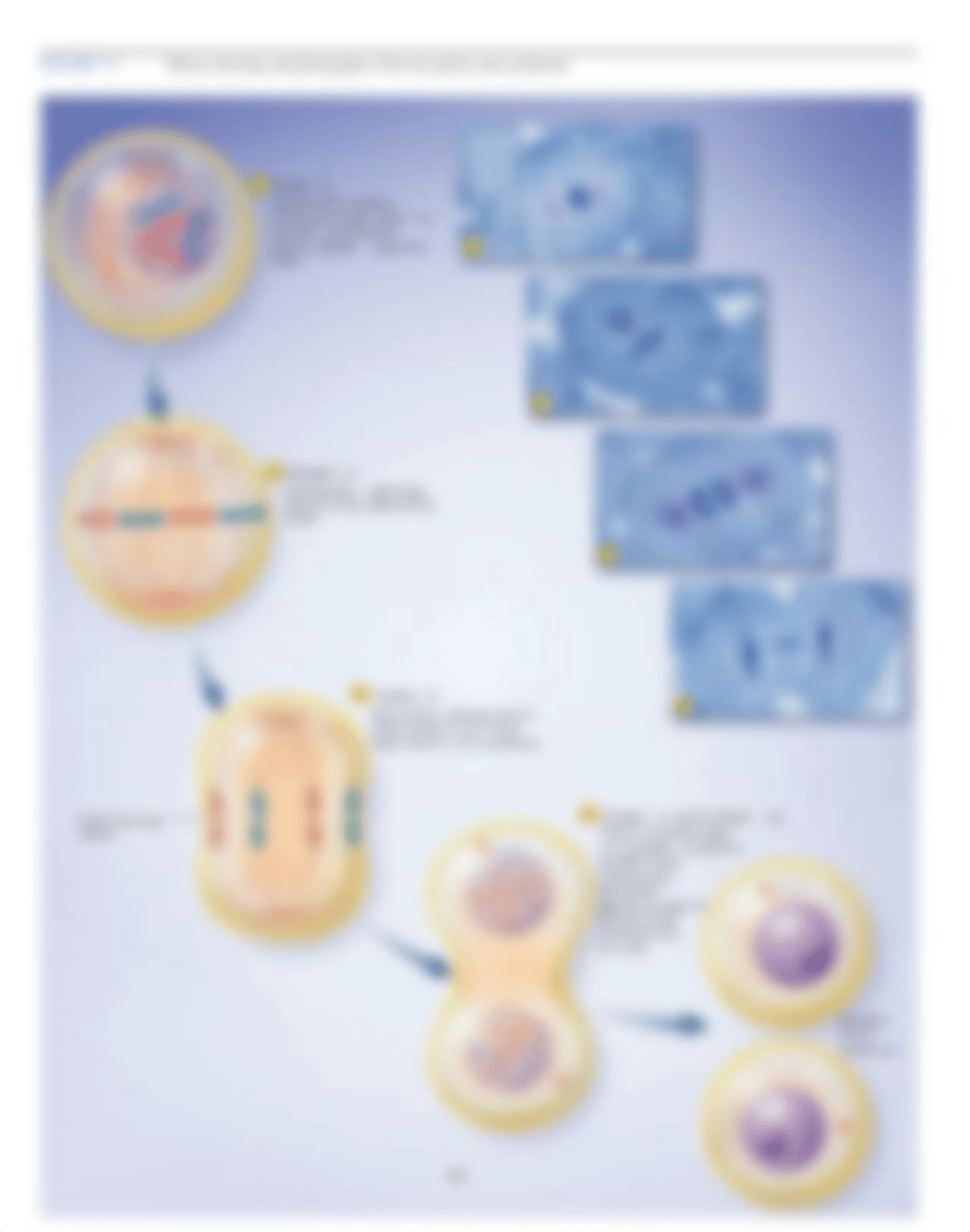 Lab 7_dmblo7il2mj_page2