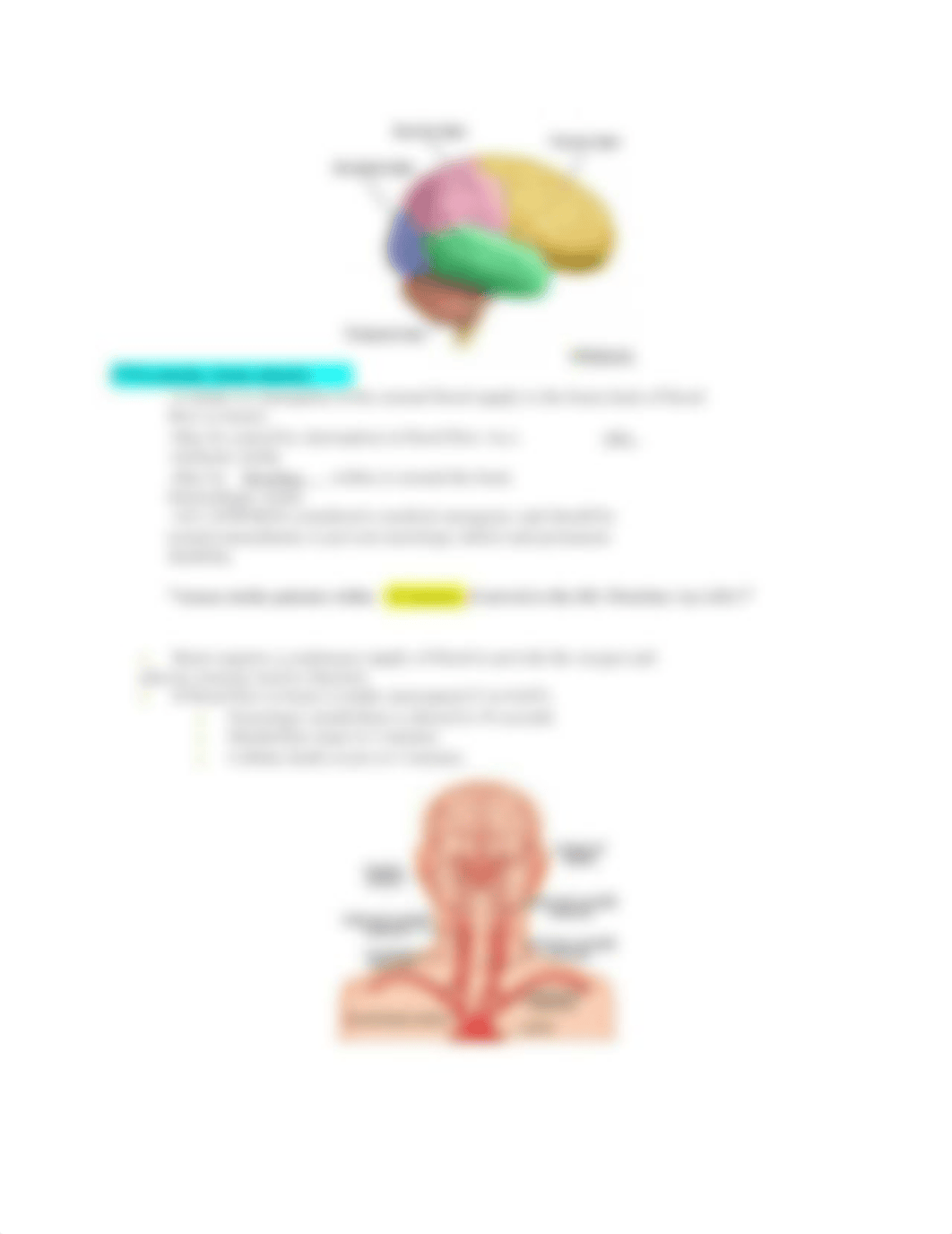 NUR 203 MODULE C Study Guide RR 1.docx_dmbothm9r12_page5