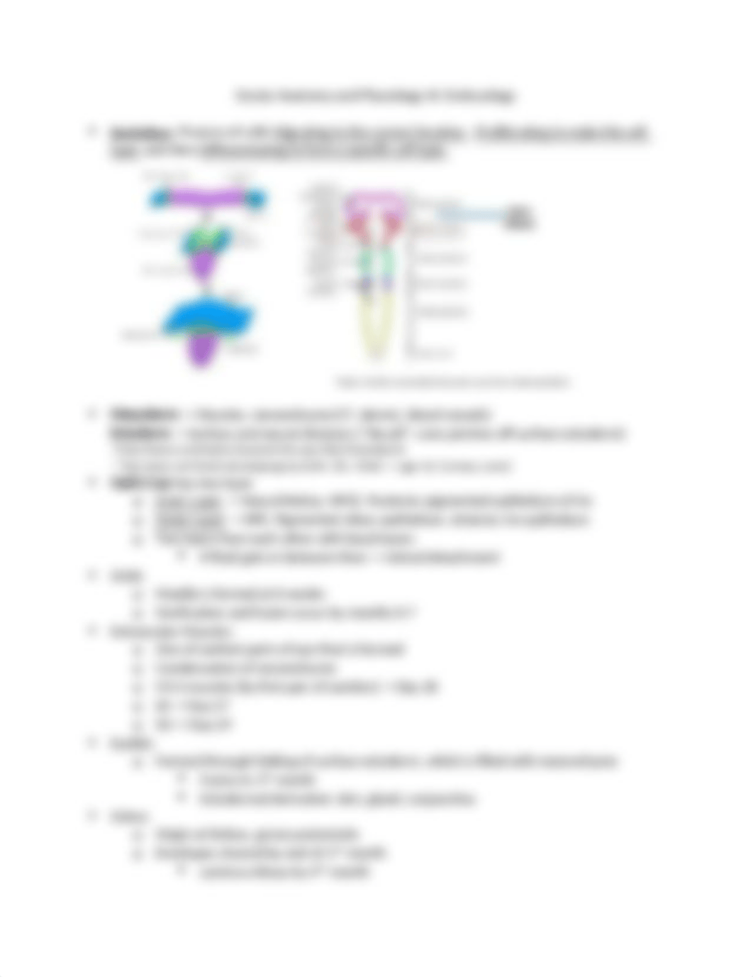 Ocular Anatomy and Physiology III- Embryology.docx_dmbs216wvmw_page1