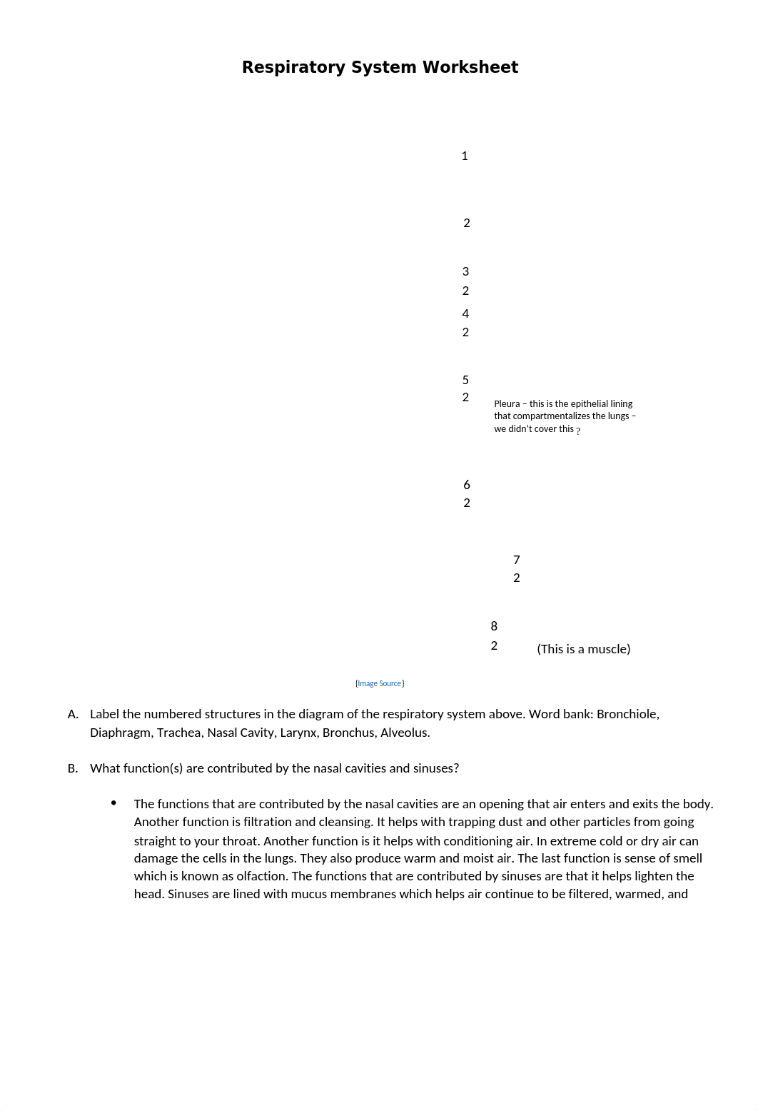 U2W1 Respiratory Worksheet-1.docx_dmbwvi2ouf2_page1