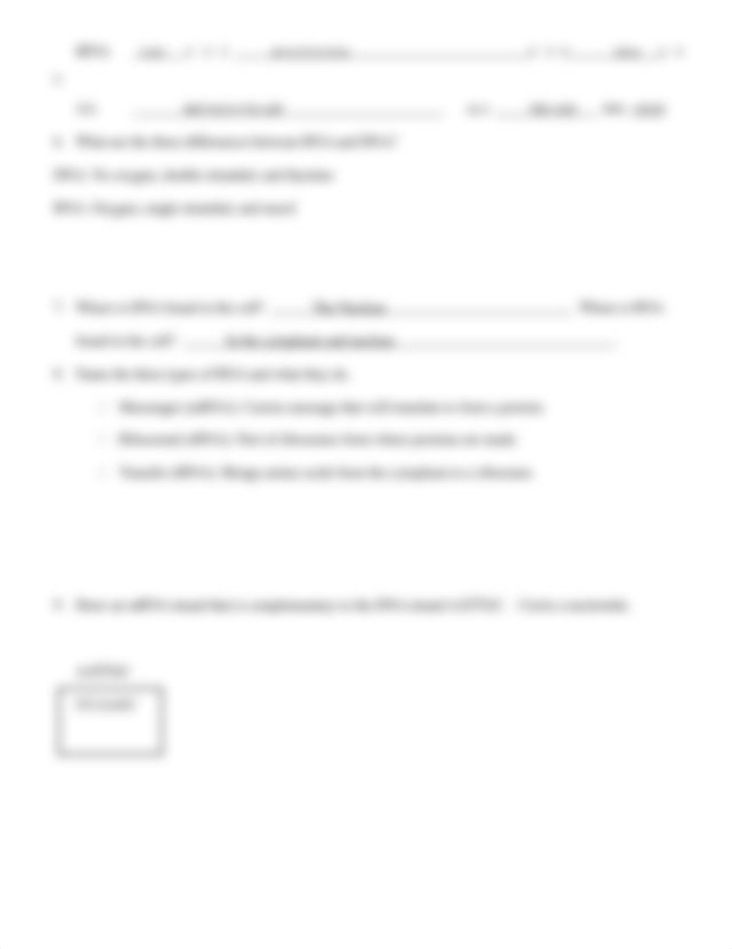 Transcription and translation practice worksheet (1).doc_dmbxfygsow0_page2