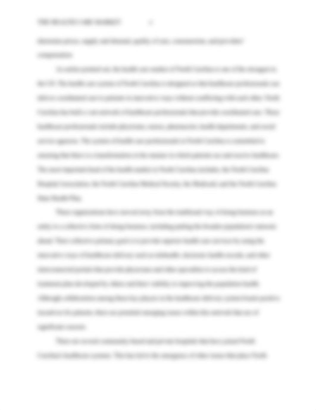 The_Health_Care_Market.edited.doc_dmcjpy558a9_page4