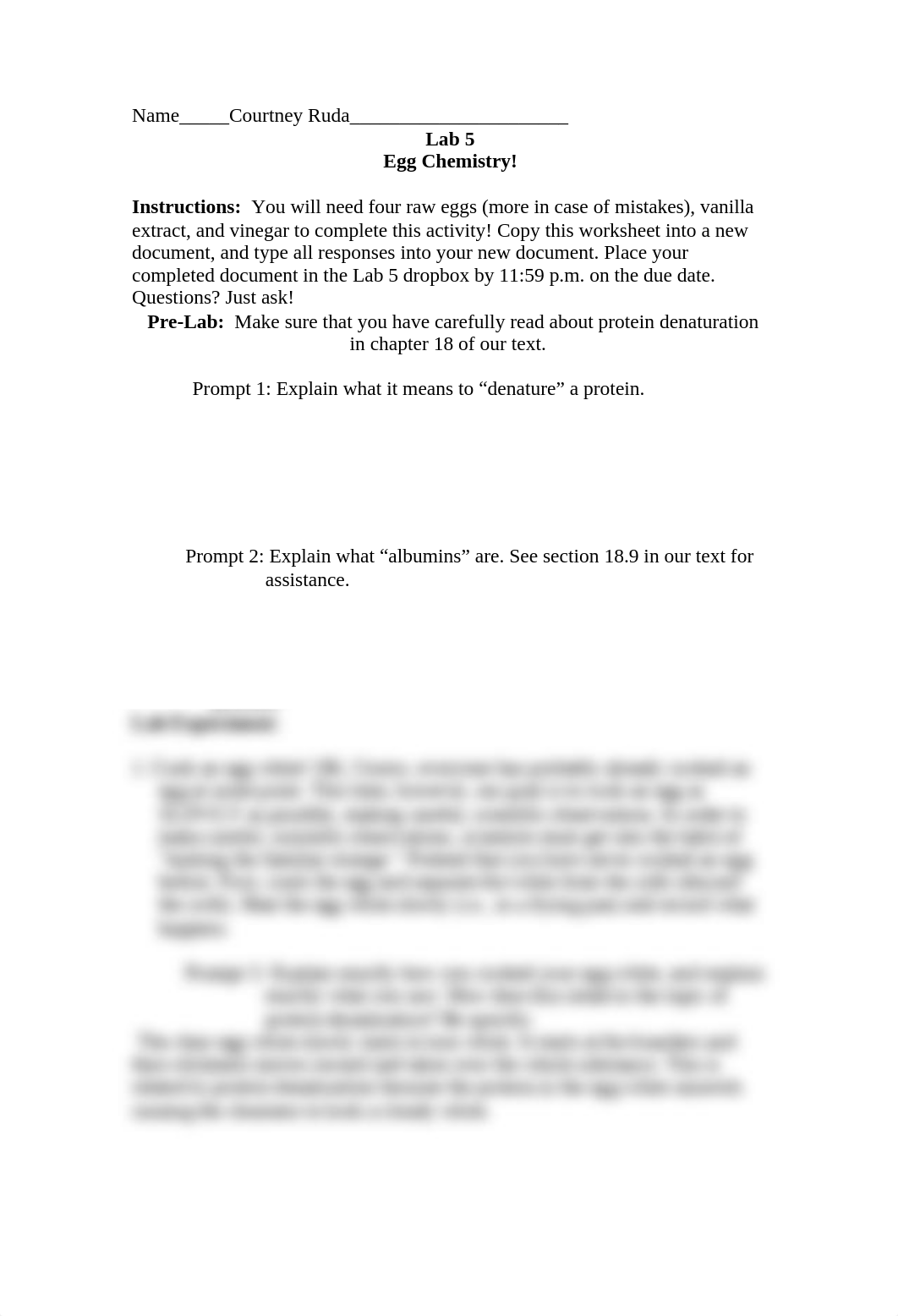 Chem Lab 5rudacourtneyS16.docx_dmclrfmk6mx_page1