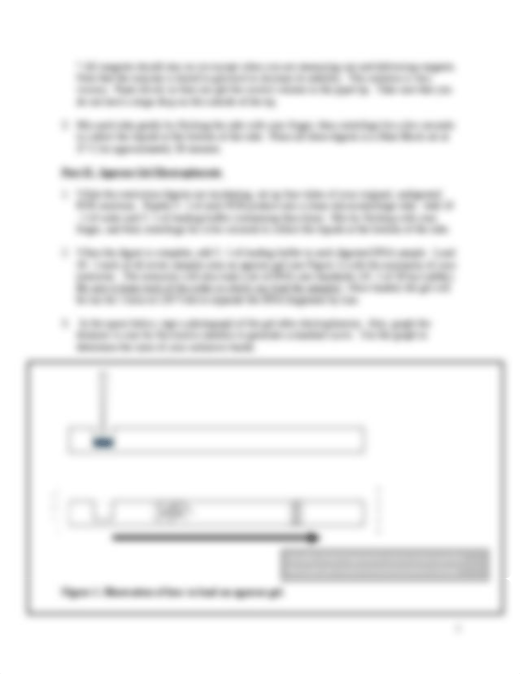 Lab Manual 3 - Restriction Fragment Length Polymorphism Analysis of LMNA cDNA (F'22).docx_dmcms4sxnif_page2