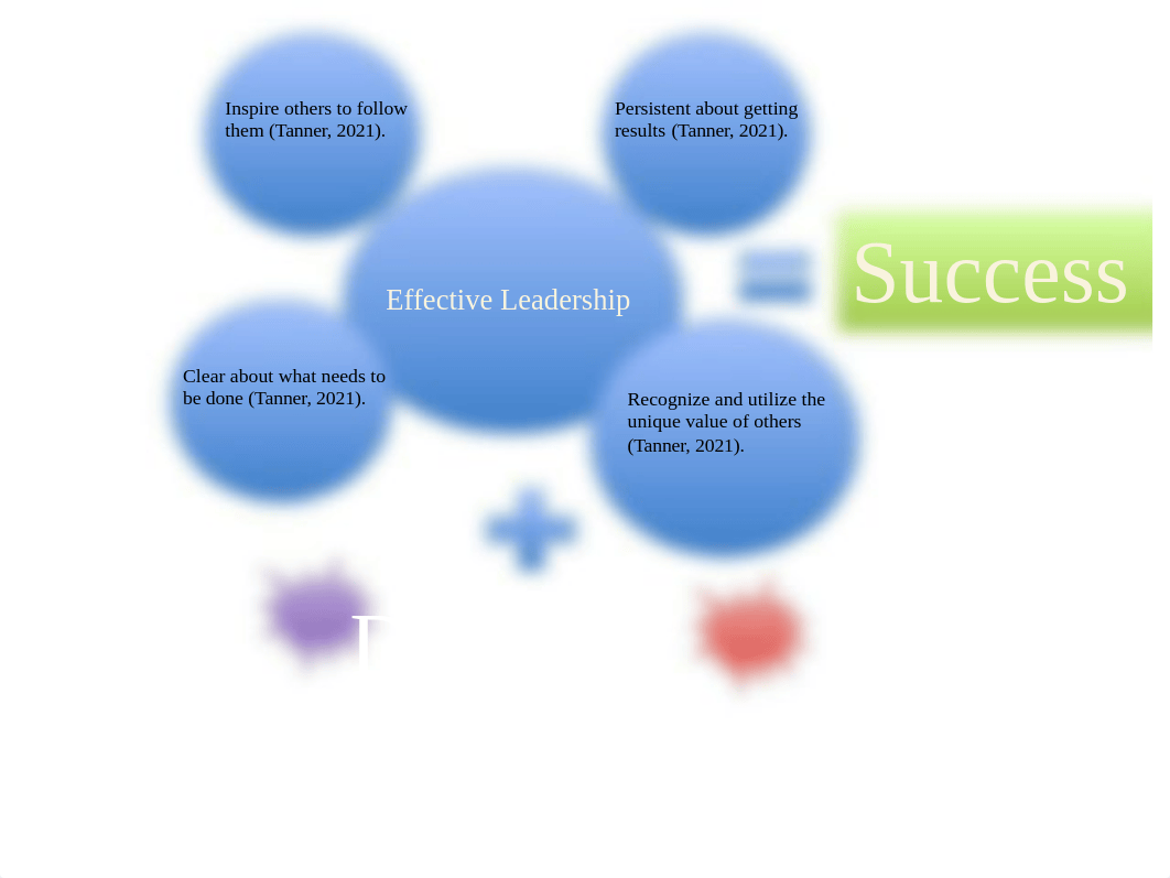 Effective leadership and diversity .pptx_dmcnkjo8yxt_page1