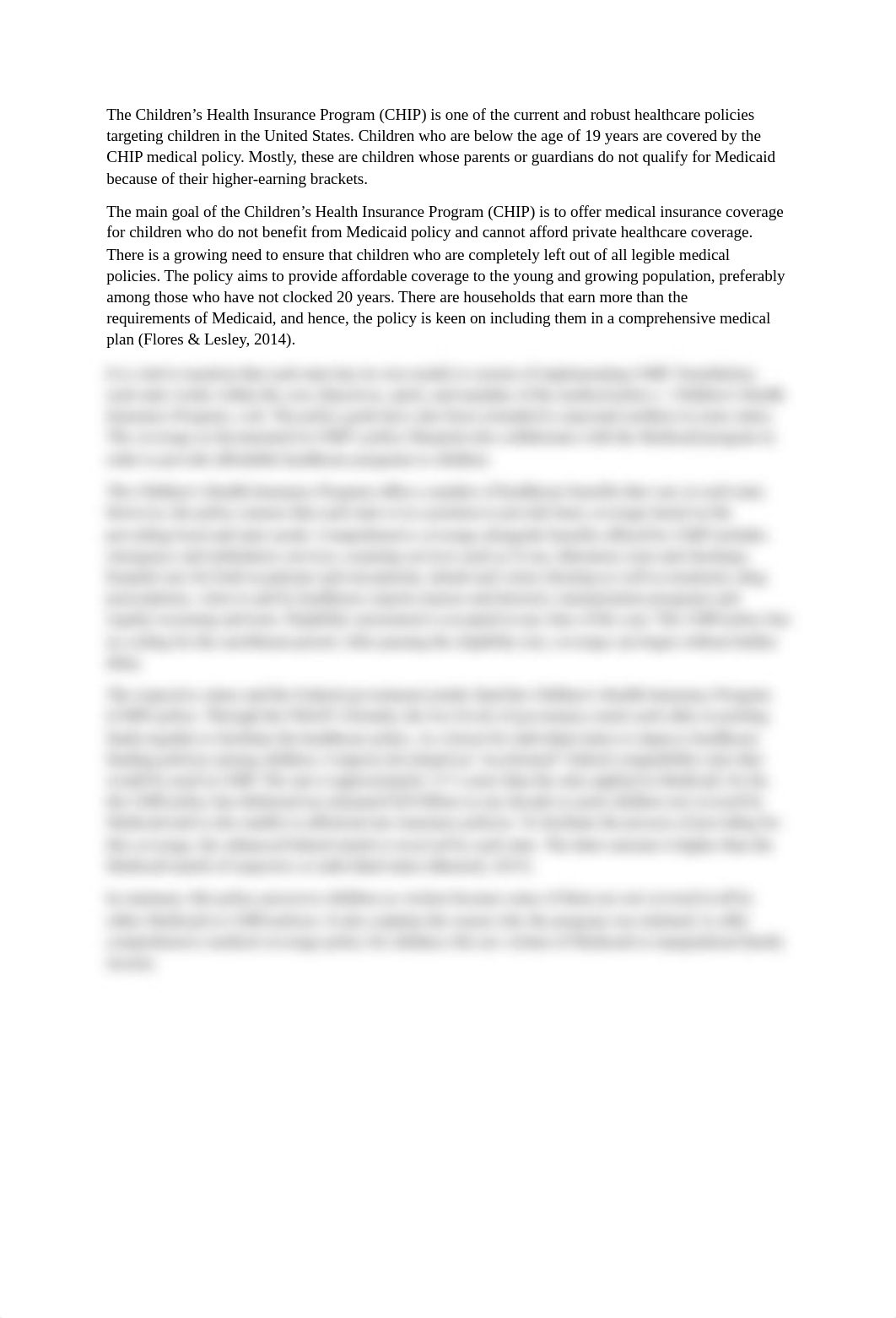 CHIP Program - Essay.docx_dmcuijfdm9k_page1