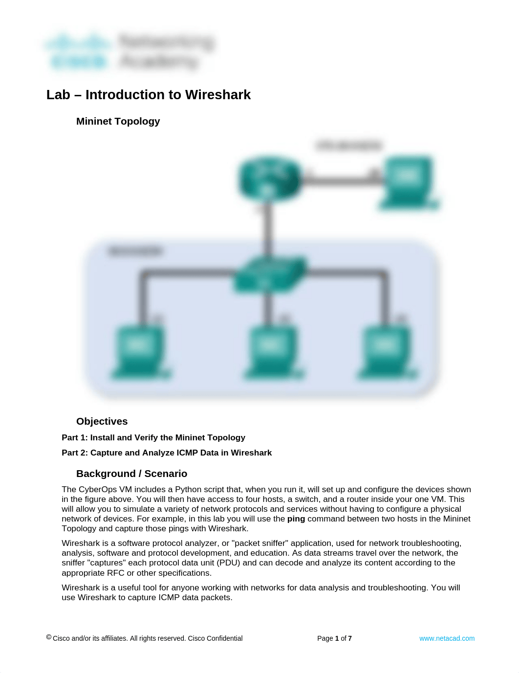 4.1.2.10 Lab - Introduction to Wireshark.docx_dmczajyvb8x_page1