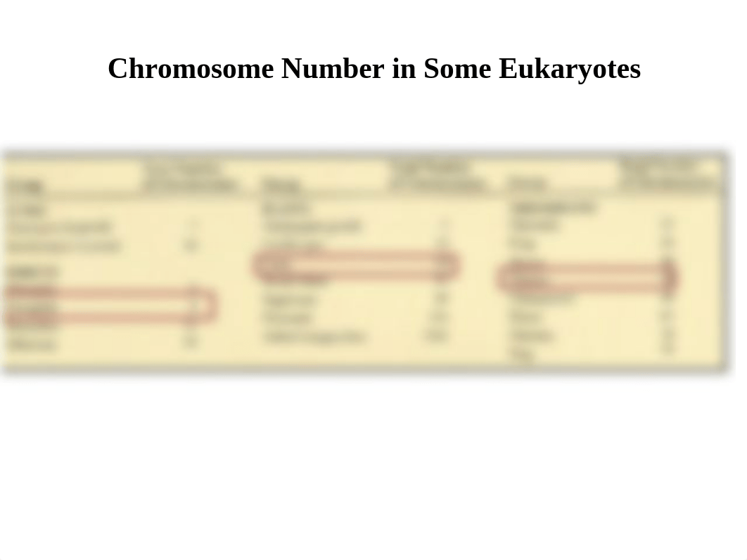 Lab-7_Mitosis_and_Meiosis_dmczoacelk3_page3