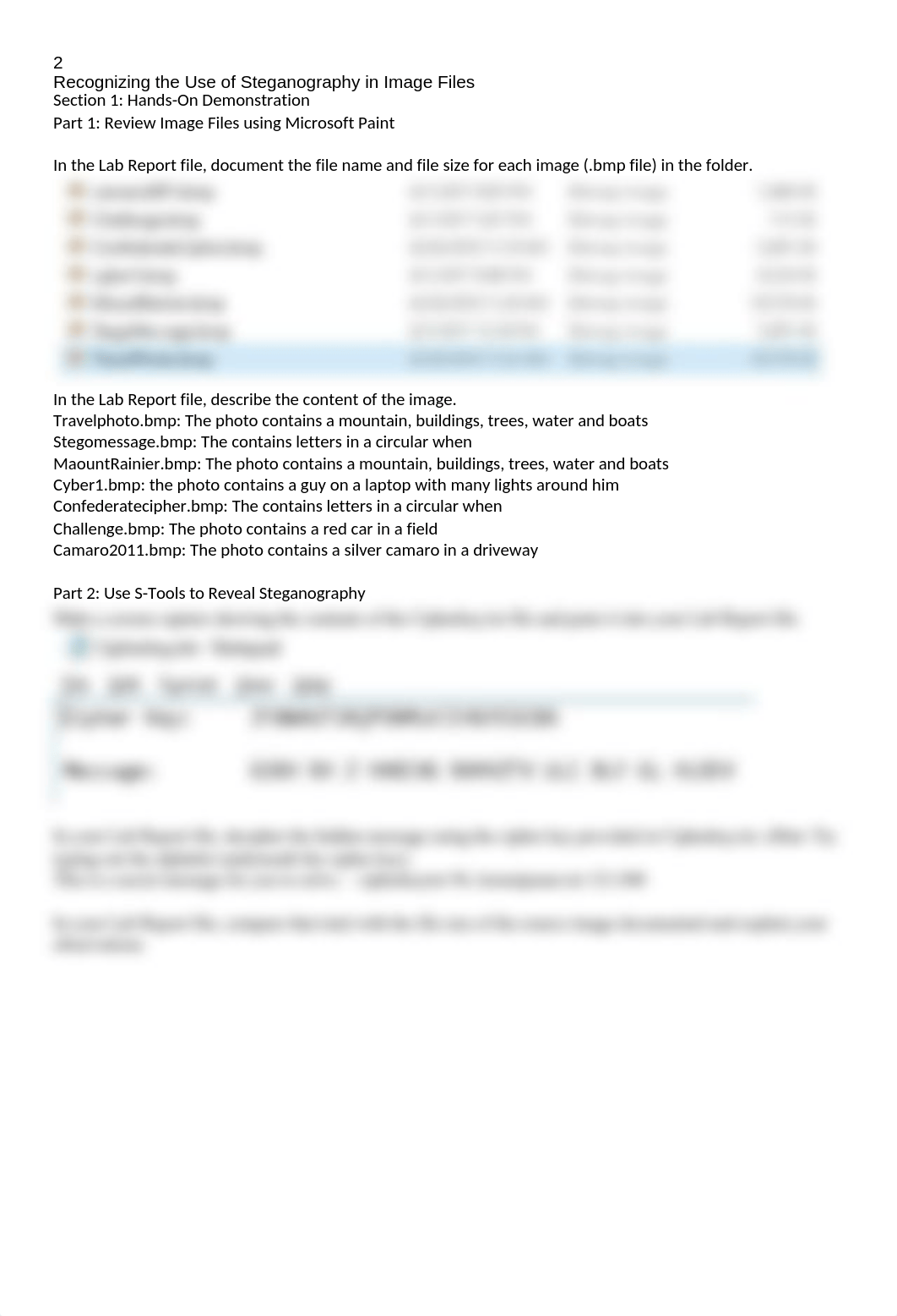 Donald Pellerin - Recognizing the Use of Steganography in Image Files.docx_dmd1mhqsqzc_page2