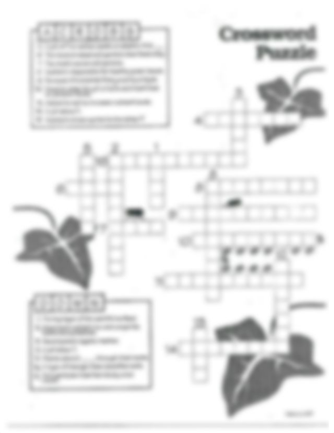 Soil Crossword Puzzle II- Makenna Leonardi 1401.pdf_dmd2jaoyfg7_page1