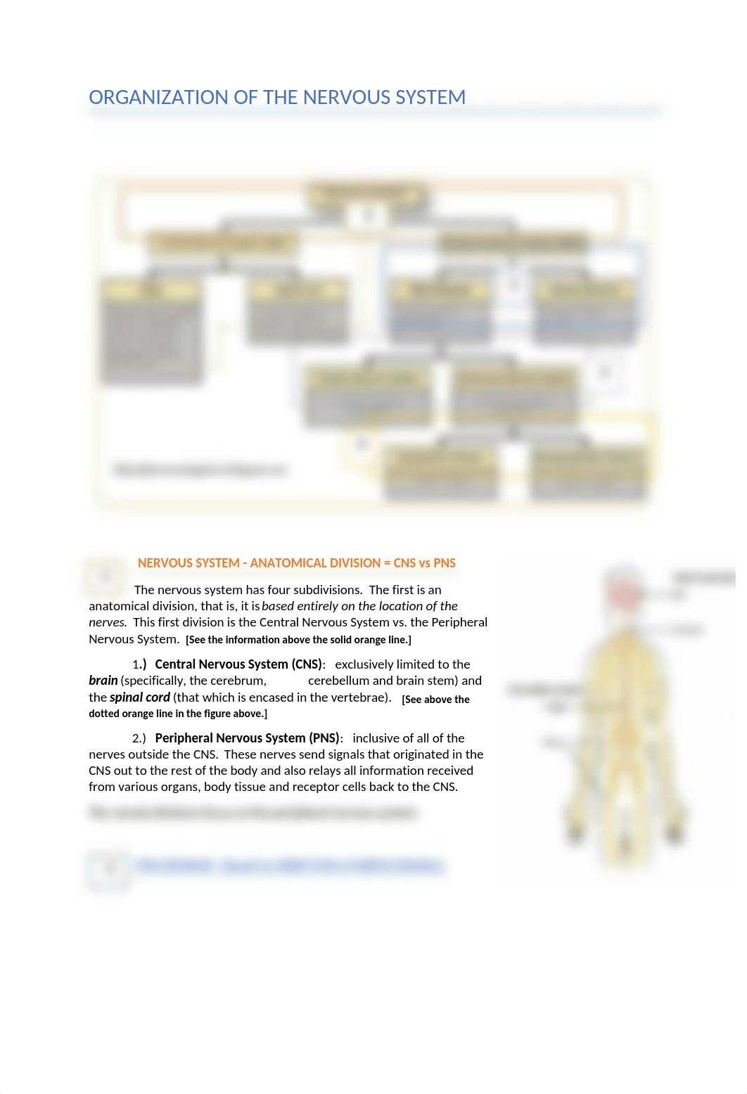 CH 10 - NERVOUS SYSTEM - HLTH 110-2.docx_dmd9w42vro5_page2