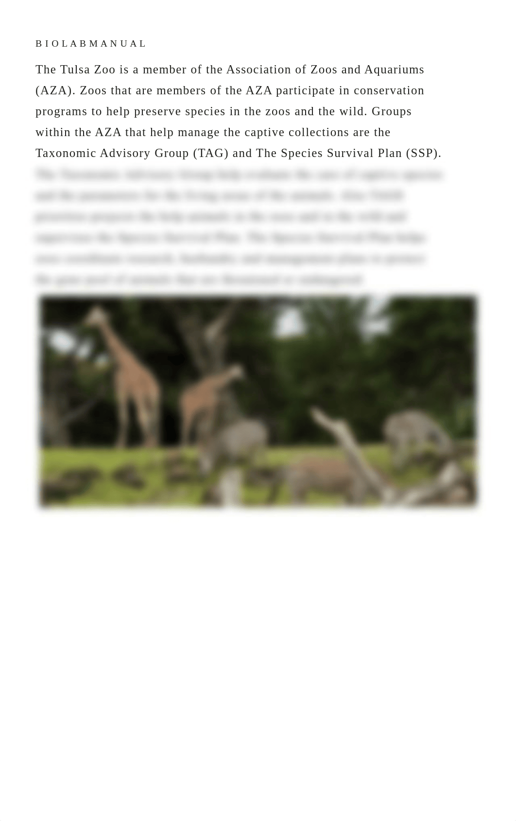 Zoo_Visit__1_.pdf_dmdho15tc2p_page2