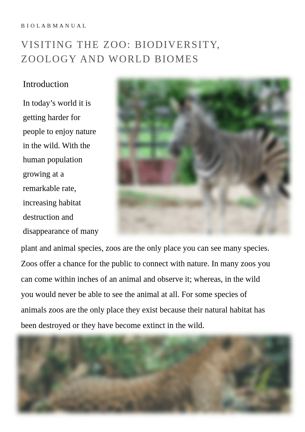 Zoo_Visit__1_.pdf_dmdho15tc2p_page1