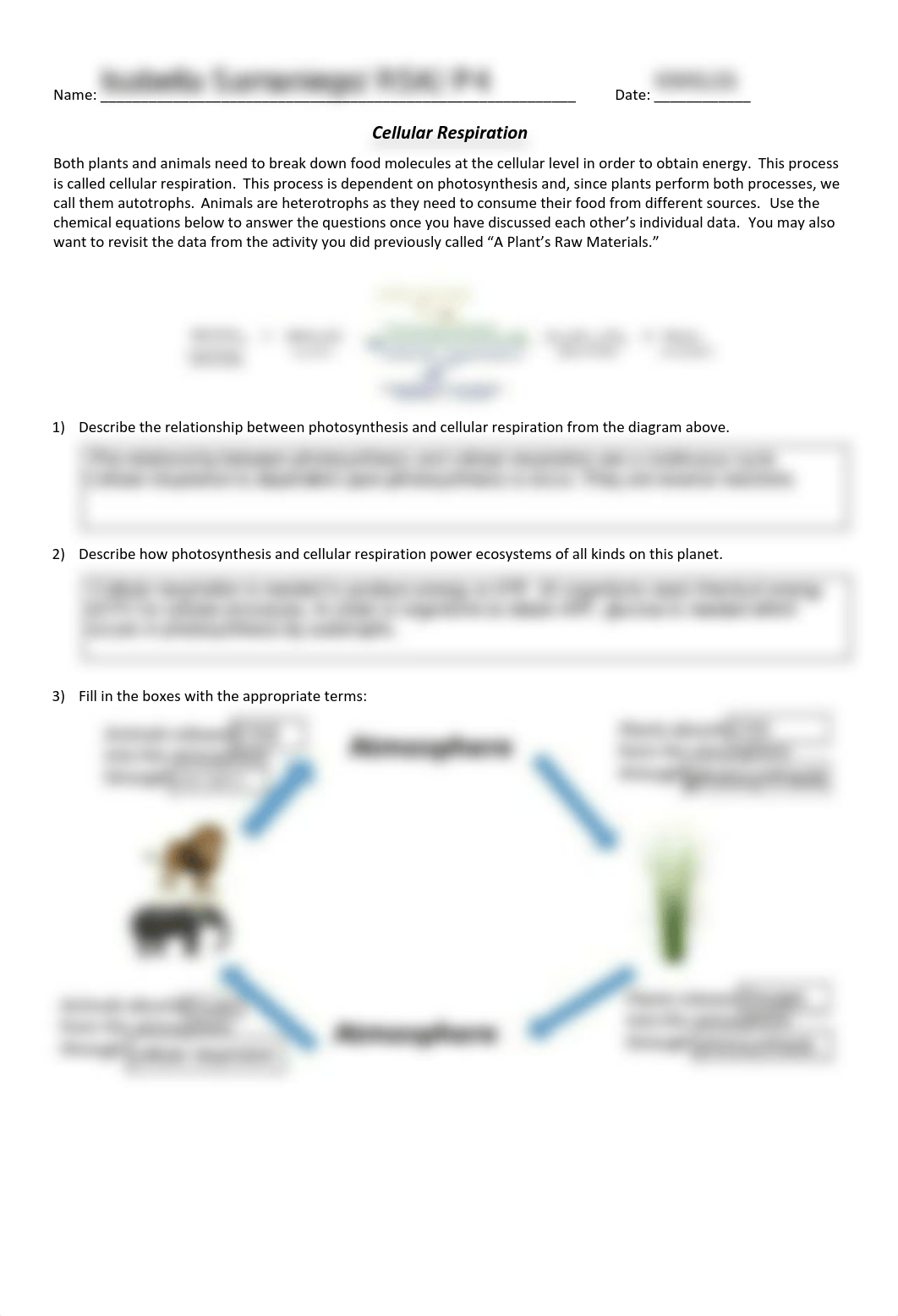 Cellular Respiration (With Graphs).pdf_dmdnqz1d9us_page1