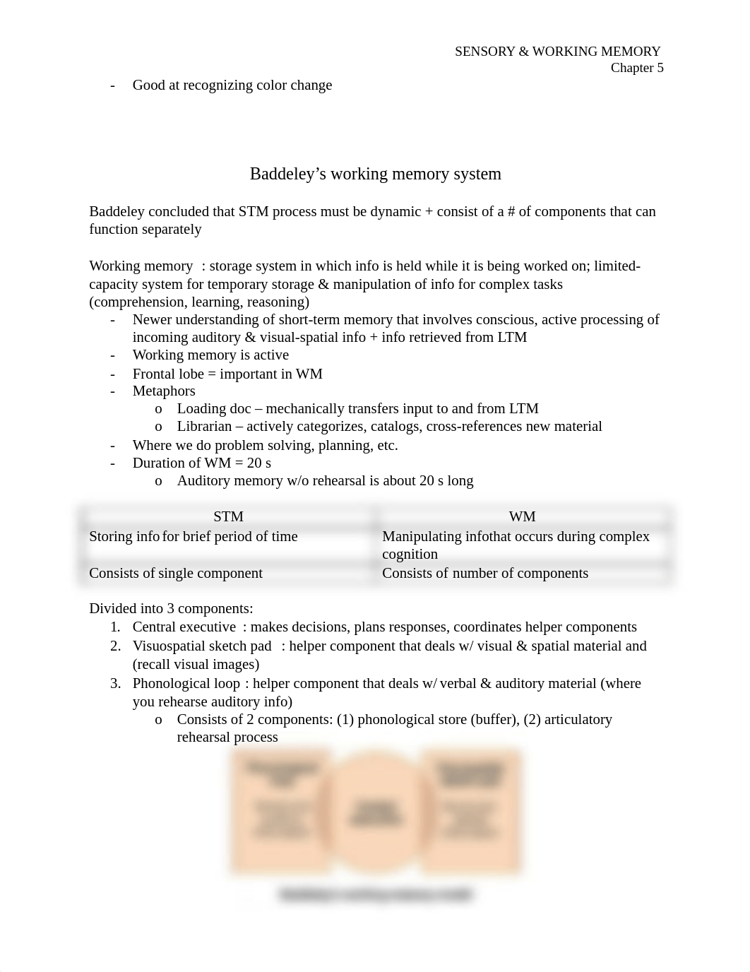 08 Sensory & Working Memory_dmdst7rh4qf_page3