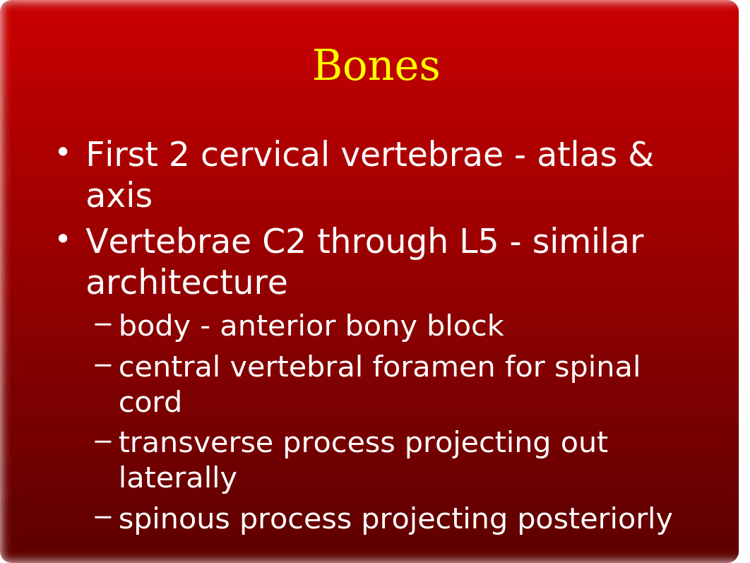 12 Spinal Column_dme9iivg0nr_page5