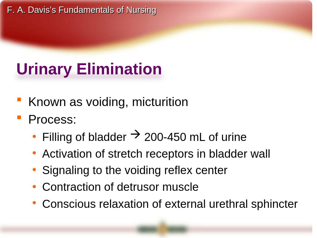 08 Urinary.ppt_dmehw1tukd1_page2