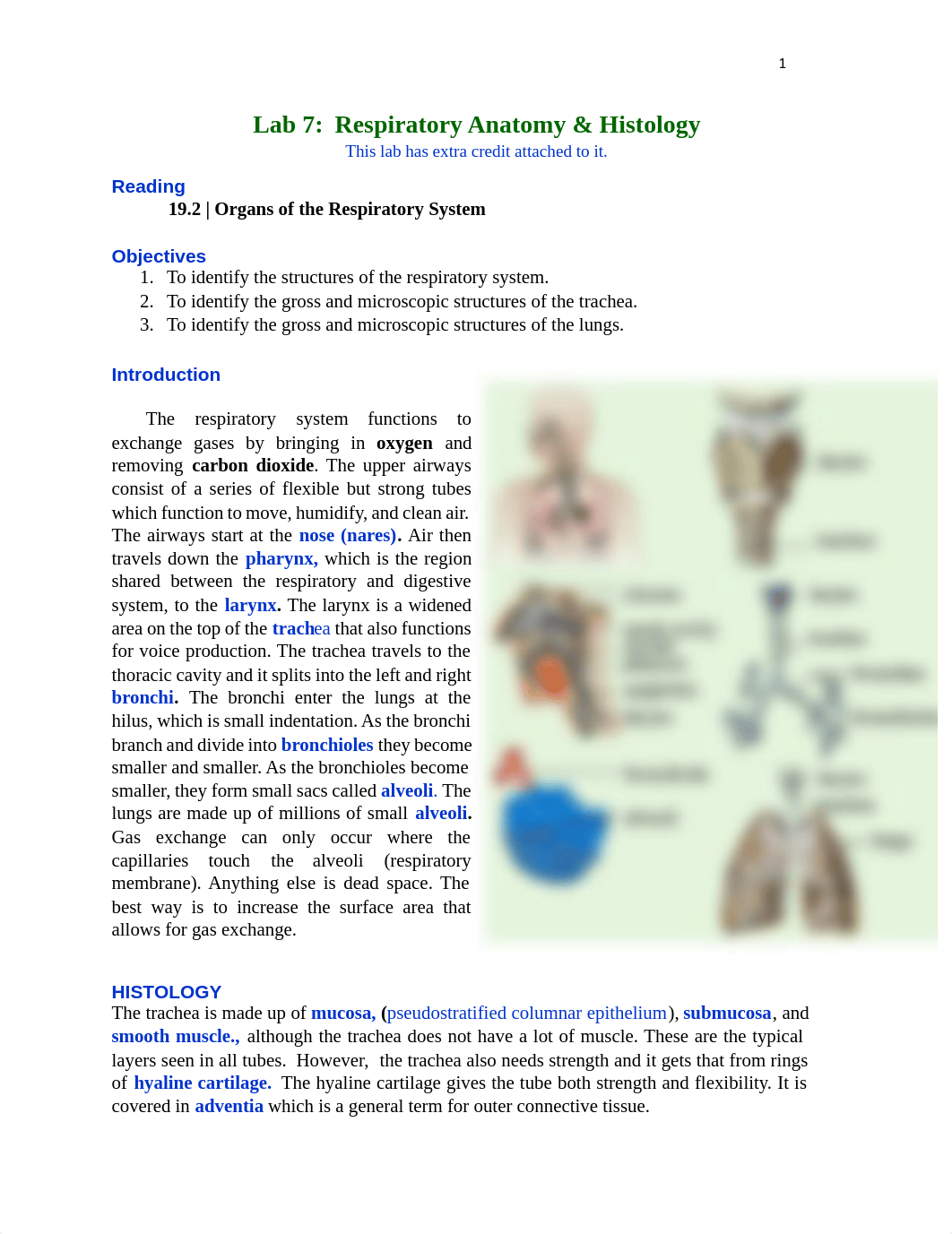 Lab 7 Assignment.pdf_dmen3r8gu2r_page1