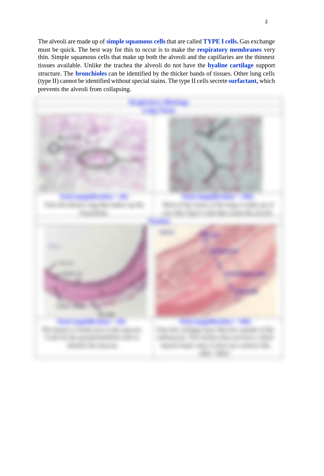 Lab 7 Assignment.pdf_dmen3r8gu2r_page3