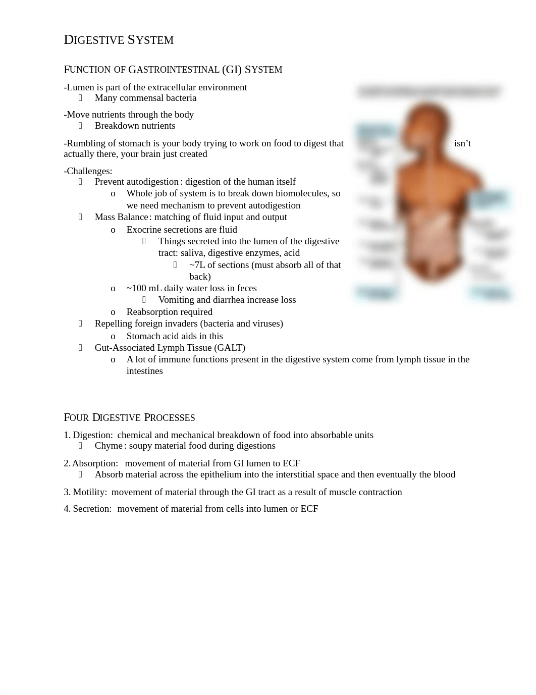 Digestive System .docx_dmeqdd48f6g_page1