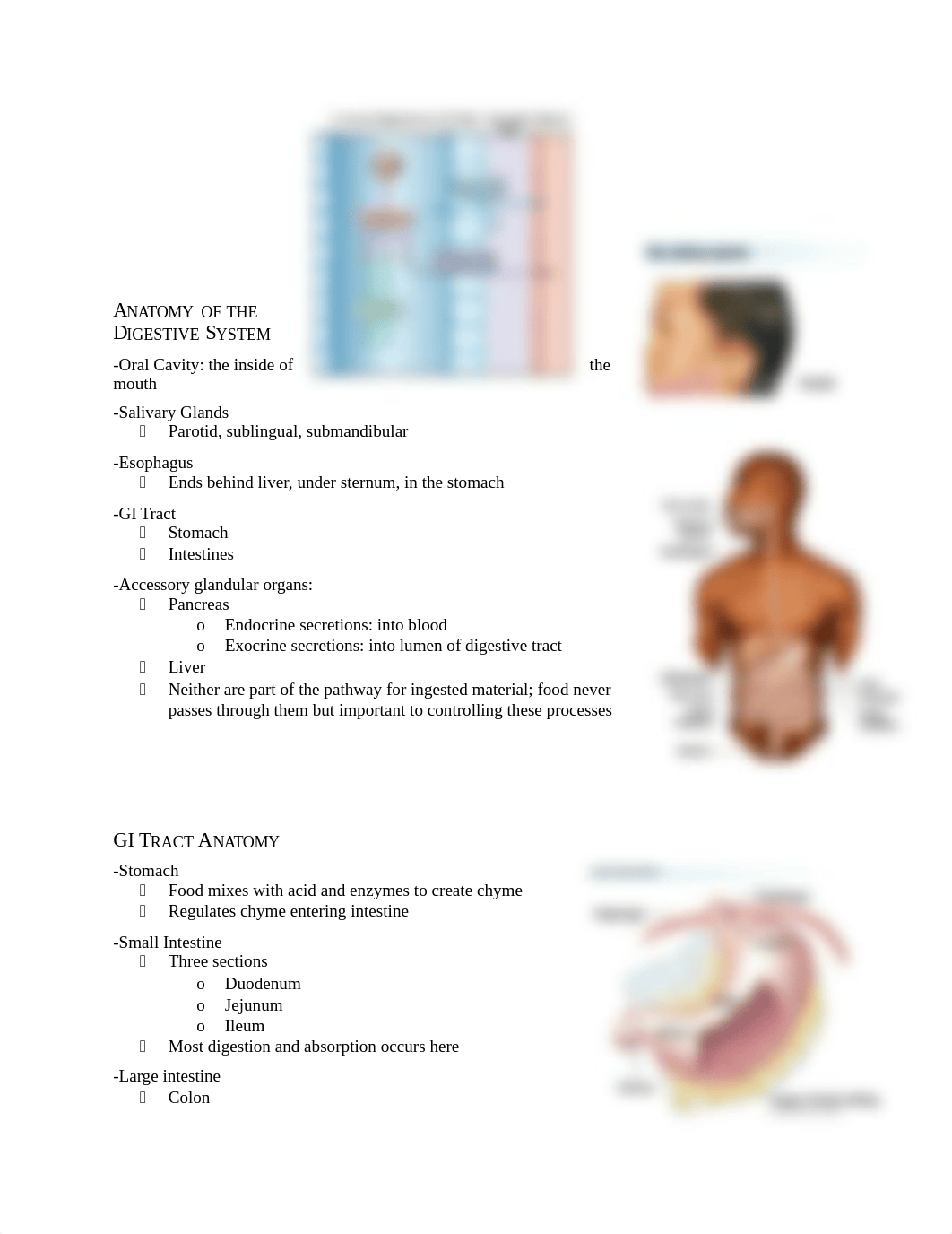 Digestive System .docx_dmeqdd48f6g_page2