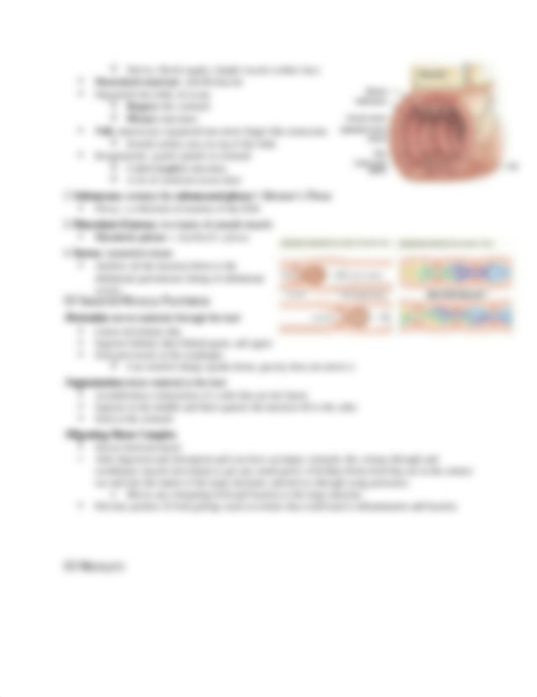 Digestive System .docx_dmeqdd48f6g_page4