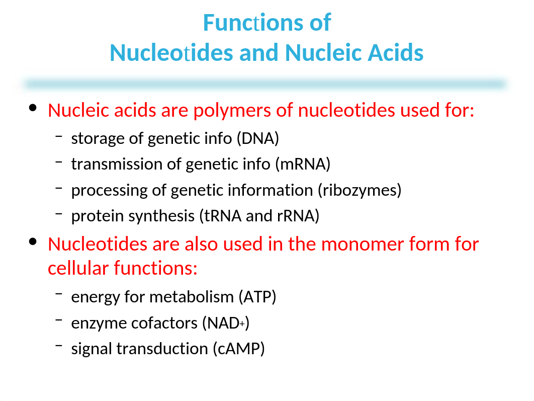 Lehninger_7e_PPT Chapter 8 (3).ppt_dmf78i0pch9_page3