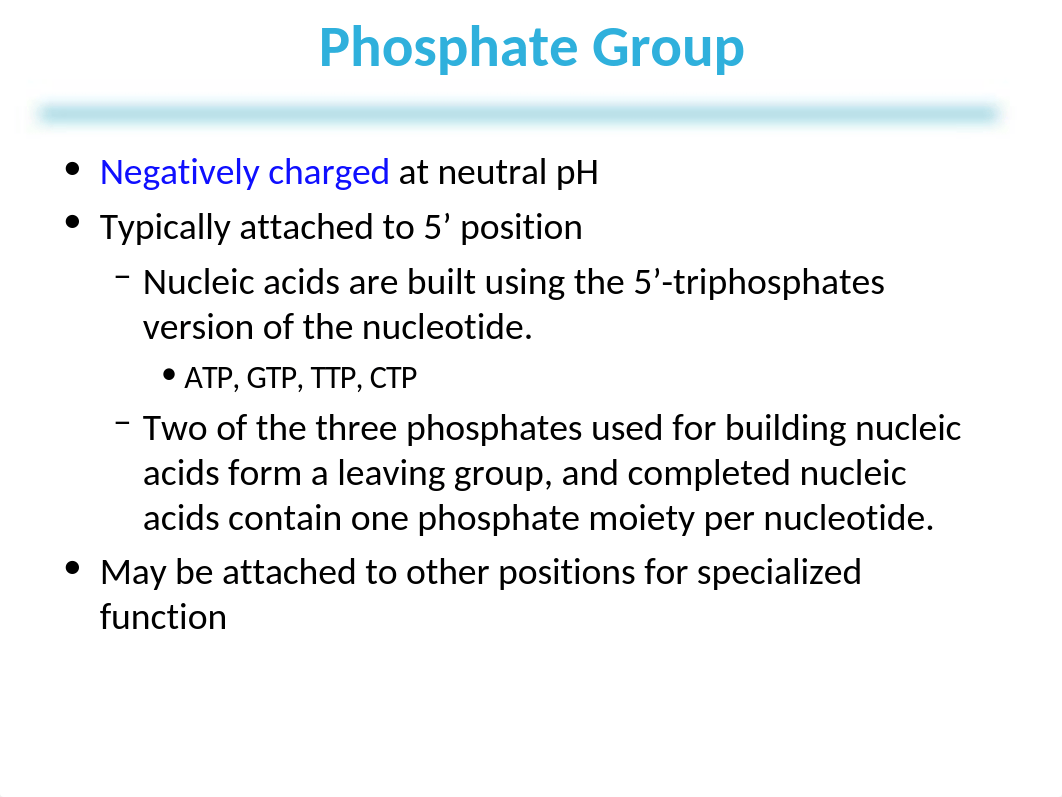 Lehninger_7e_PPT Chapter 8 (3).ppt_dmf78i0pch9_page5