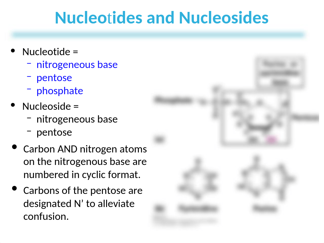 Lehninger_7e_PPT Chapter 8 (3).ppt_dmf78i0pch9_page4