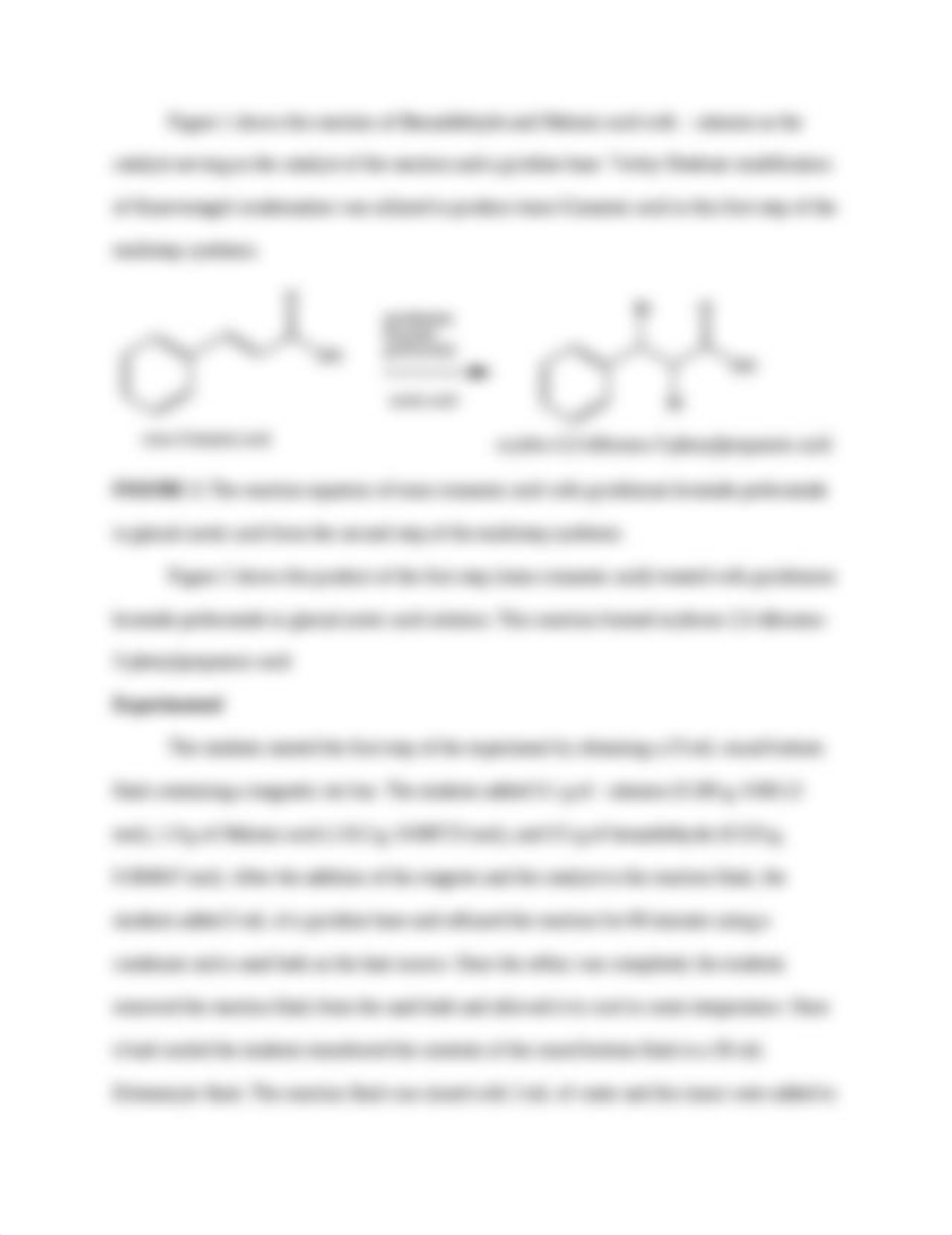 Multistep Synthesis lab report.docx_dmf88zp5djy_page4