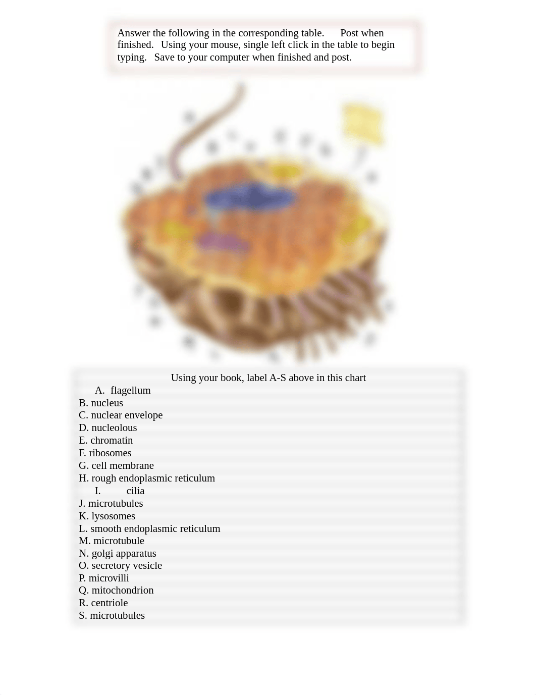 Cells - Skin diagram_dmf99kwx12f_page1