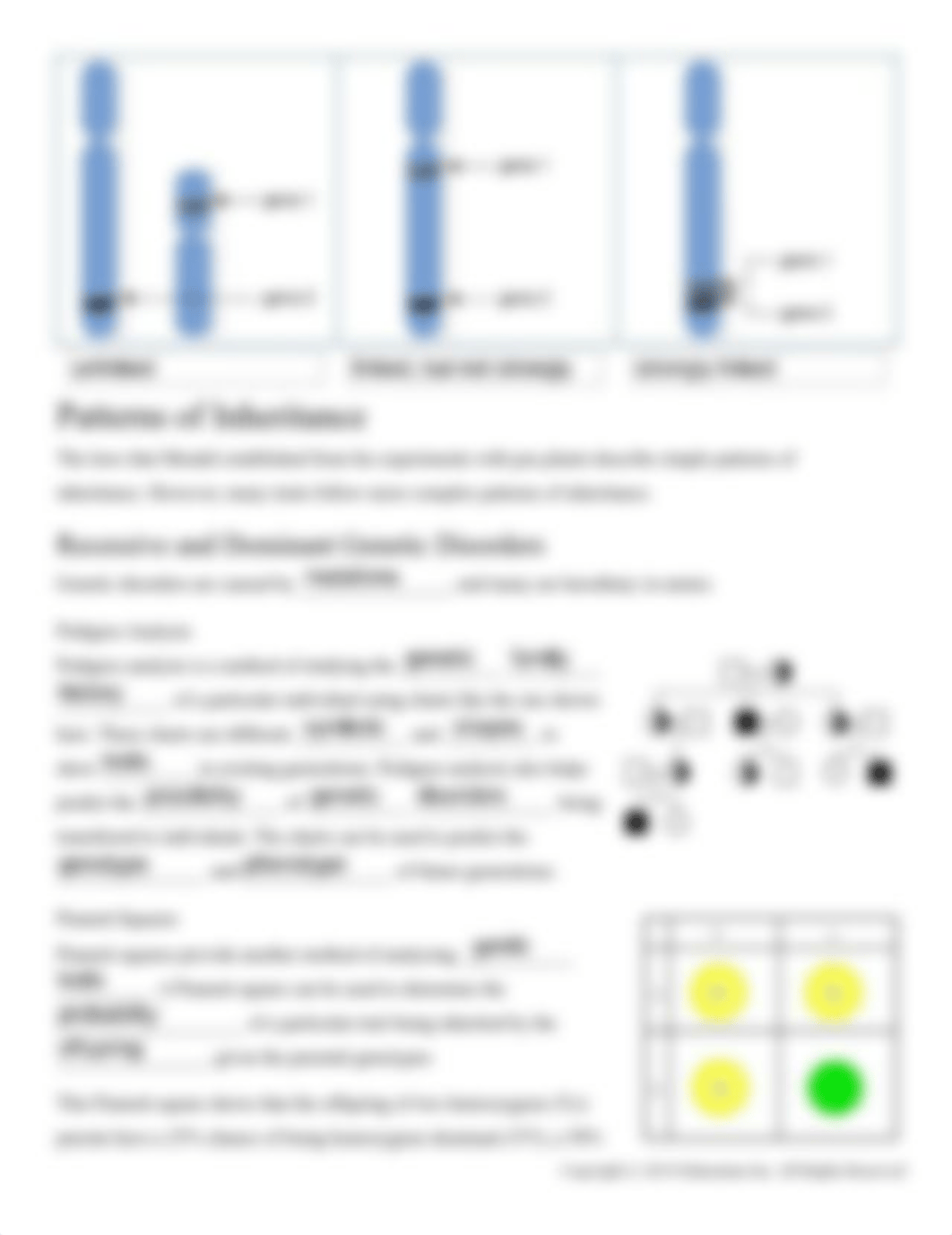 Inheritance Patterns and Genetic Research.pdf_dmfi1h570di_page3