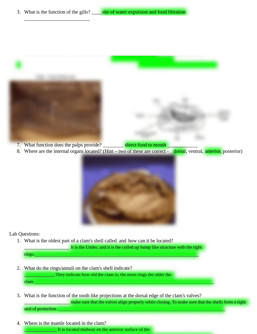 Invertebrates Lab II_Answer_Sheet (1) done (1).docx_dmfvun9yes8_page3