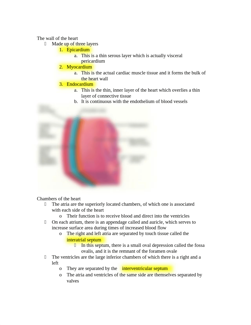 Cardiovascular Notes.docx_dmfzra4avg8_page2