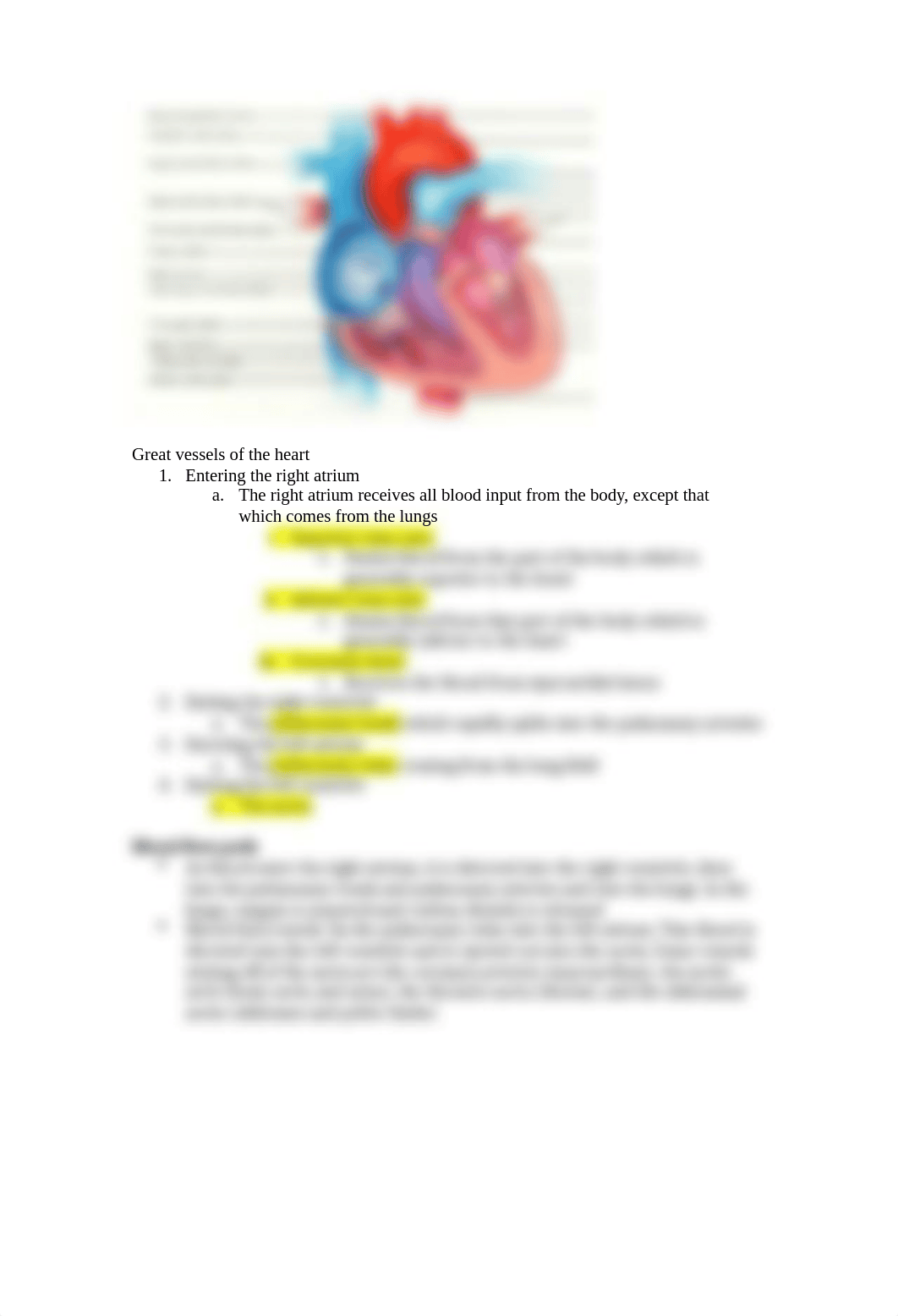 Cardiovascular Notes.docx_dmfzra4avg8_page3